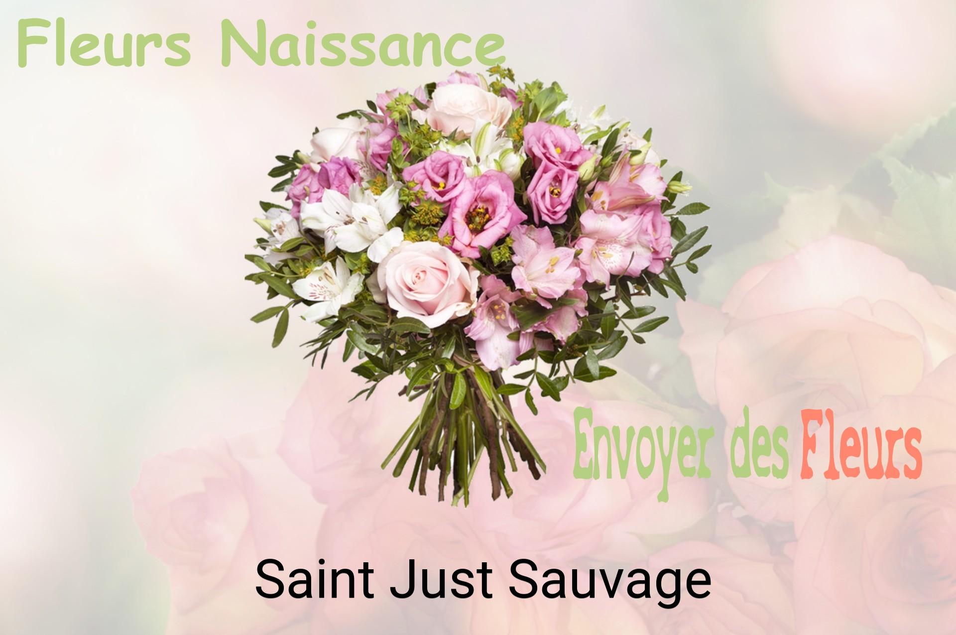 Bouquet de fleurs de naissance livré à Saint-Just-Sauvage